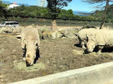 群馬サファリパークに投稿された画像（2021/9/19）