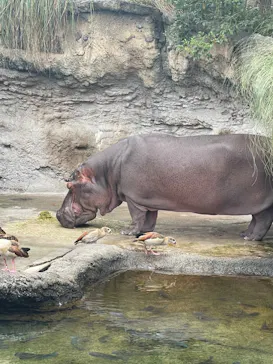 天王寺動物園に投稿された画像（2021/9/19）