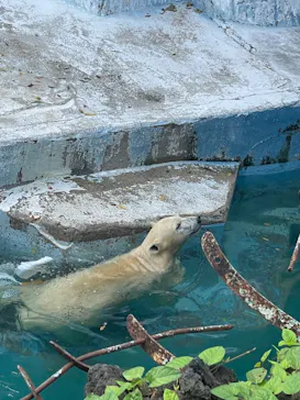 天王寺動物園に投稿された画像（2021/9/19）