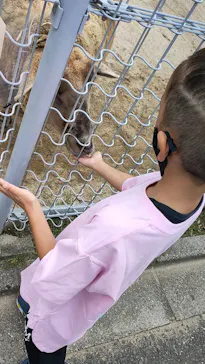 天王寺動物園に投稿された画像（2021/9/19）