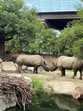 天王寺動物園に投稿された画像（2021/9/19）