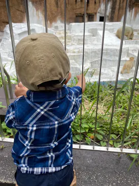 天王寺動物園に投稿された画像（2021/9/19）