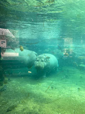 天王寺動物園に投稿された画像（2021/9/19）