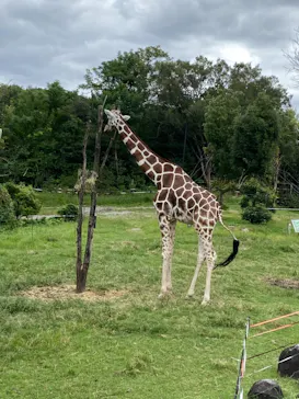 天王寺動物園に投稿された画像（2021/9/19）