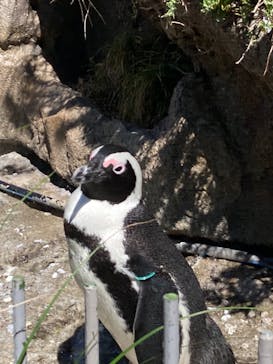 サンシャイン水族館に投稿された画像（2021/9/19）