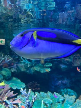 サンシャイン水族館に投稿された画像（2021/9/19）