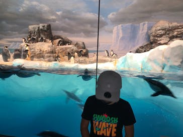 名古屋港水族館に投稿された画像（2021/9/19）