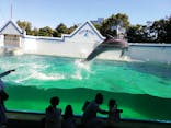 しながわ水族館に投稿された画像（2021/9/19）