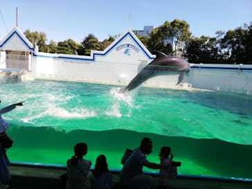 しながわ水族館に投稿された画像（2021/9/19）