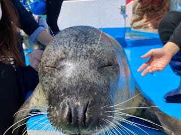 ゼロ距離水族館 伊勢シーパラダイスに投稿された画像（2021/9/19）