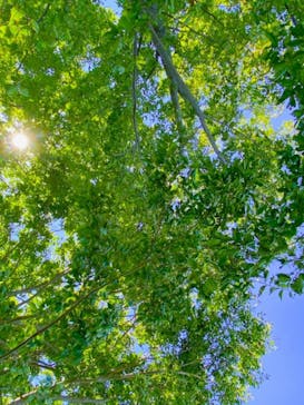 那須どうぶつ王国に投稿された画像（2021/9/19）