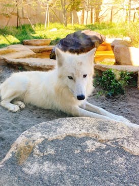 那須どうぶつ王国に投稿された画像（2021/9/19）