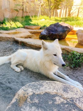 那須どうぶつ王国に投稿された画像（2021/9/19）