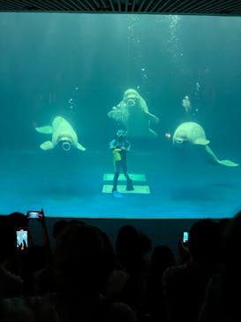 島根県立 しまね海洋館に投稿された画像（2021/9/19）