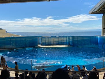 新江ノ島水族館に投稿された画像（2021/9/19）