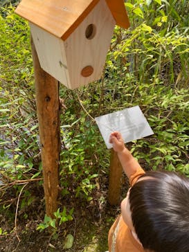 神戸六甲ミーツ・アート2025 beyondに投稿された画像（2021/9/19）