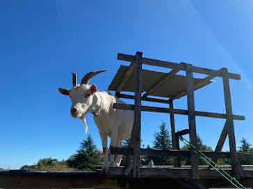 那須高原りんどう湖ファミリー牧場に投稿された画像（2021/9/19）