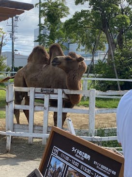 神戸どうぶつ王国に投稿された画像（2021/9/19）