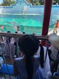 しながわ水族館に投稿された画像（2021/9/19）