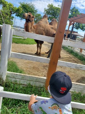 神戸どうぶつ王国に投稿された画像（2021/9/19）