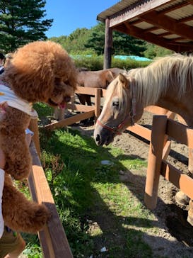 那須どうぶつ王国に投稿された画像（2021/9/19）