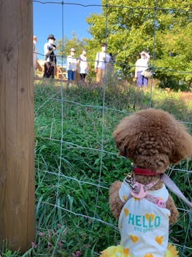 那須どうぶつ王国に投稿された画像（2021/9/19）