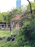 天王寺動物園に投稿された画像（2021/9/19）