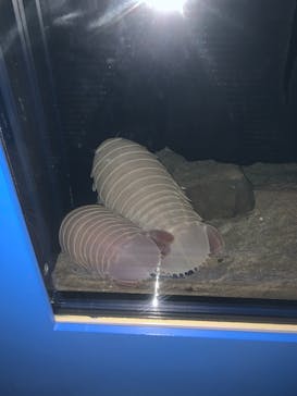 名古屋港水族館に投稿された画像（2021/9/19）