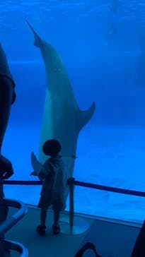 名古屋港水族館に投稿された画像（2021/9/19）