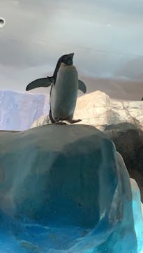 名古屋港水族館に投稿された画像（2021/9/19）