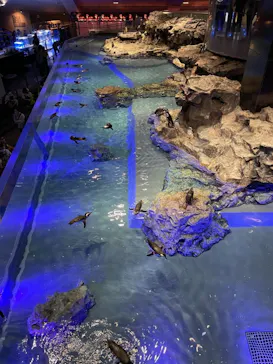 すみだ水族館に投稿された画像（2021/9/19）