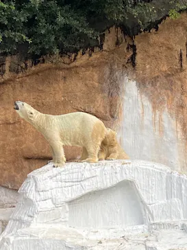 天王寺動物園に投稿された画像（2021/9/19）