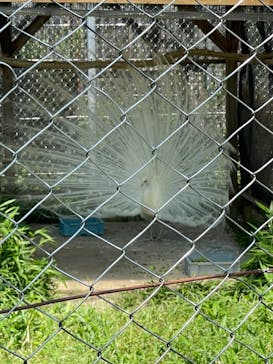 東武動物公園に投稿された画像（2021/9/19）