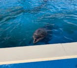 南知多ビーチランド＆南知多おもちゃ王国に投稿された画像（2021/9/19）