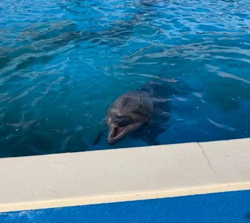 南知多ビーチランド＆南知多おもちゃ王国に投稿された画像（2021/9/19）