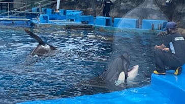 名古屋港水族館に投稿された画像（2021/9/19）