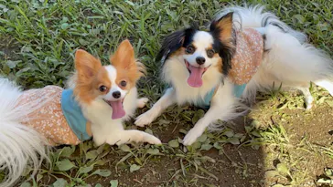 わんダフルネイチャーヴィレッジに投稿された画像（2021/9/19）