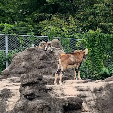 天王寺動物園に投稿された画像（2021/9/19）