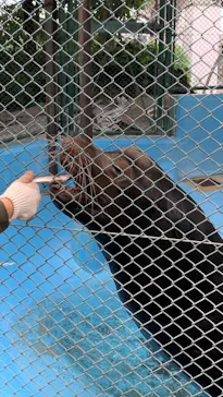 天王寺動物園に投稿された画像（2021/9/19）