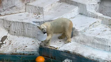 天王寺動物園に投稿された画像（2021/9/19）