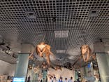 国立科学博物館に投稿された画像（2021/9/19）
