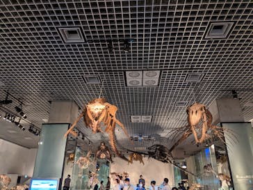 国立科学博物館に投稿された画像（2021/9/19）