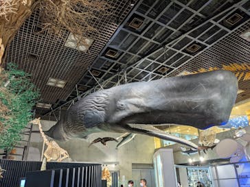 国立科学博物館に投稿された画像（2021/9/19）