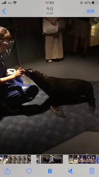 すみだ水族館に投稿された画像（2021/9/19）