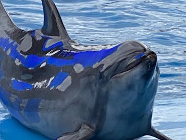 名古屋港水族館に投稿された画像（2021/9/19）