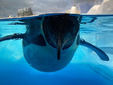 名古屋港水族館に投稿された画像（2021/9/19）