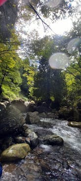 自然派企画に投稿された画像（2021/9/19）