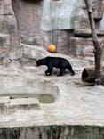 天王寺動物園に投稿された画像（2021/9/19）