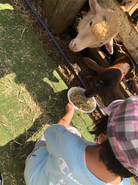 成田ゆめ牧場に投稿された画像（2021/9/19）