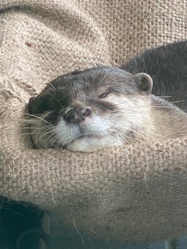 下田海中水族館に投稿された画像（2021/9/19）